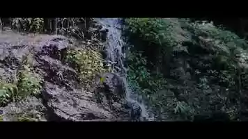 Free download Thailand: The Baby Elephant Experience with Discover Corps video and edit with RedcoolMedia movie maker MovieStudio video editor online and AudioStudio audio editor onlin