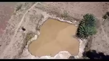 Free download TheAnema Trailer 1080p 2019 video and edit with RedcoolMedia movie maker MovieStudio video editor online and AudioStudio audio editor onlin