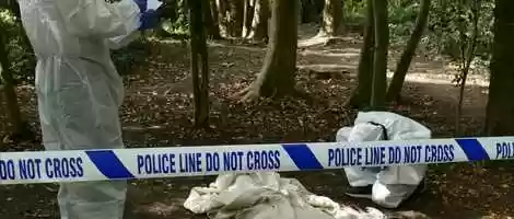 Free download THE ARSONIST | Teaser Trailer video and edit with RedcoolMedia movie maker MovieStudio video editor online and AudioStudio audio editor onlin