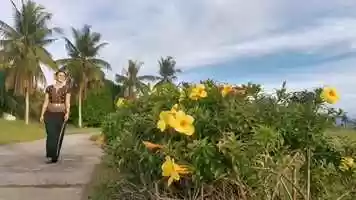 Free download The Beauty of Sabah video and edit with RedcoolMedia movie maker MovieStudio video editor online and AudioStudio audio editor onlin