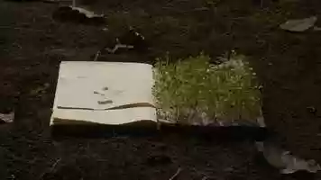 Free download The boy who could not wait video and edit with RedcoolMedia movie maker MovieStudio video editor online and AudioStudio audio editor onlin