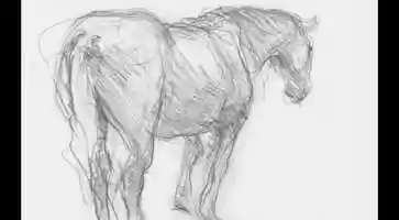 Free download The Class Horse video and edit with RedcoolMedia movie maker MovieStudio video editor online and AudioStudio audio editor onlin