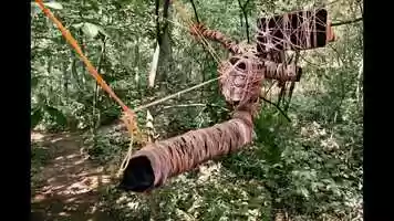 Free download The Conscious Stones video and edit with RedcoolMedia movie maker MovieStudio video editor online and AudioStudio audio editor onlin