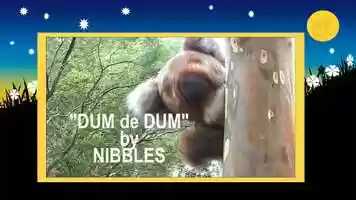 Free download The Dum de Dum Song video and edit with RedcoolMedia movie maker MovieStudio video editor online and AudioStudio audio editor onlin