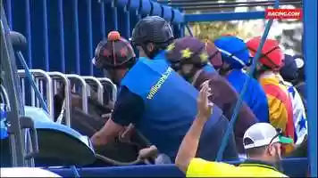 Free download THE EAGLE video and edit with RedcoolMedia movie maker MovieStudio video editor online and AudioStudio audio editor onlin