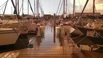 Free download The Egret Comes Back video and edit with RedcoolMedia movie maker MovieStudio video editor online and AudioStudio audio editor onlin