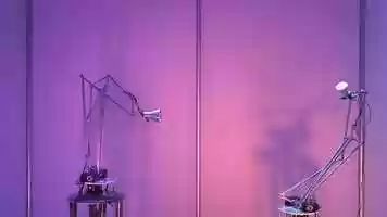 Free download The Entangled Eye - Ars Electronica video and edit with RedcoolMedia movie maker MovieStudio video editor online and AudioStudio audio editor onlin