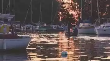 Free download The experienced truth of Modes rookie year video and edit with RedcoolMedia movie maker MovieStudio video editor online and AudioStudio audio editor onlin