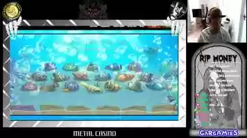Free download THE GOLDEN FISH TANK MEGAWIN ON BONUS video and edit with RedcoolMedia movie maker MovieStudio video editor online and AudioStudio audio editor onlin