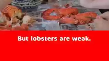 Free download The Greed Of The Robots video and edit with RedcoolMedia movie maker MovieStudio video editor online and AudioStudio audio editor onlin