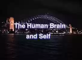 Free download The Human Brain and Self 5 minutes New Music.mp4 video and edit with RedcoolMedia movie maker MovieStudio video editor online and AudioStudio audio editor onlin