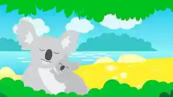 Free download The Koala song video and edit with RedcoolMedia movie maker MovieStudio video editor online and AudioStudio audio editor onlin