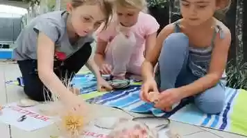 Free download The Living World - word from New Zealand Author, Rachel Rohloff video and edit with RedcoolMedia movie maker MovieStudio video editor online and AudioStudio audio editor onlin