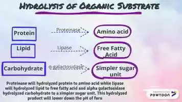 Free download The mechanism of fermentation of furu video and edit with RedcoolMedia movie maker MovieStudio video editor online and AudioStudio audio editor onlin