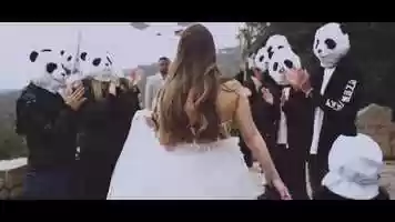 Free download THE PANDA WEDDING MOVIE video and edit with RedcoolMedia movie maker MovieStudio video editor online and AudioStudio audio editor onlin