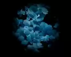 Free download The Prisoners Garden (excerpt) video and edit with RedcoolMedia movie maker MovieStudio video editor online and AudioStudio audio editor onlin