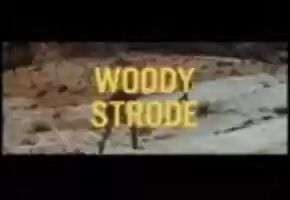 Free download The Professionals-Trailer video and edit with RedcoolMedia movie maker MovieStudio video editor online and AudioStudio audio editor onlin