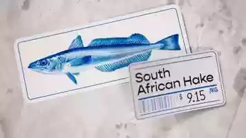 Free download The Project - Fish Fraud video and edit with RedcoolMedia movie maker MovieStudio video editor online and AudioStudio audio editor onlin