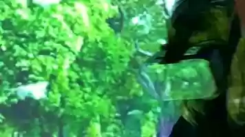 Free download The Quarantine Pre-Fall 2020 Editorial video and edit with RedcoolMedia movie maker MovieStudio video editor online and AudioStudio audio editor onlin