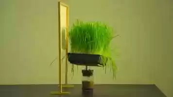 Free download The Quivering of the Reed video and edit with RedcoolMedia movie maker MovieStudio video editor online and AudioStudio audio editor onlin