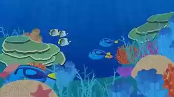 Free download The Reef Restoration  Adaptation Program (How?) video and edit with RedcoolMedia movie maker MovieStudio video editor online and AudioStudio audio editor onlin