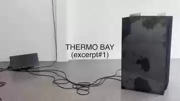 Free download THERMO BAY - Ignas Krunglevicius (Lydgalleriet, 2018) video and edit with RedcoolMedia movie maker MovieStudio video editor online and AudioStudio audio editor onlin