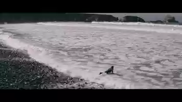 Free download The Road Is Now video and edit with RedcoolMedia movie maker MovieStudio video editor online and AudioStudio audio editor onlin