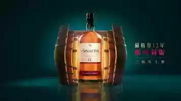 Free download The Singleton video and edit with RedcoolMedia movie maker MovieStudio video editor online and AudioStudio audio editor onlin