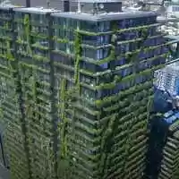 Free download The Skyscrape Gardeners video and edit with RedcoolMedia movie maker MovieStudio video editor online and AudioStudio audio editor onlin