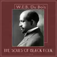 Free download The Souls of Black Folk audio book and edit with RedcoolMedia movie maker MovieStudio video editor online and AudioStudio audio editor onlin