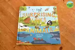 Free download The Surprising Lives of Animals video and edit with RedcoolMedia movie maker MovieStudio video editor online and AudioStudio audio editor onlin