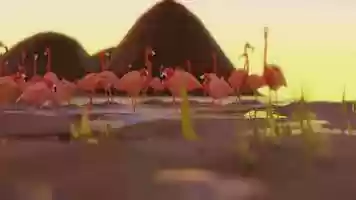 Free download The Synthwave Low Poly Flamingos surfing on the Airwave /// Blender EEVEE Animation video and edit with RedcoolMedia movie maker MovieStudio video editor online and AudioStudio audio editor onlin