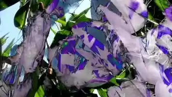 Free download The West Wind video and edit with RedcoolMedia movie maker MovieStudio video editor online and AudioStudio audio editor onlin