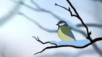 Free download The Winter Bird video and edit with RedcoolMedia movie maker MovieStudio video editor online and AudioStudio audio editor onlin