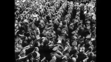 Free download The Wobblies - Tweety Bird Song (Official Music Video) video and edit with RedcoolMedia movie maker MovieStudio video editor online and AudioStudio audio editor onlin