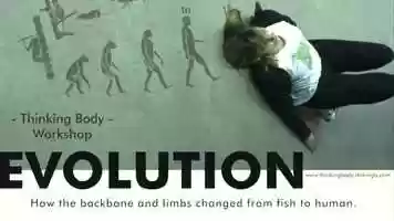 Free download Thinking body workshop (Study group 2) video and edit with RedcoolMedia movie maker MovieStudio video editor online and AudioStudio audio editor onlin