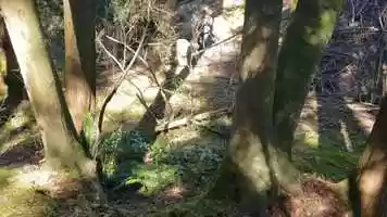 Free download Three Little Questions_Megan_Film 251_Two Hander_04-22.mp4 video and edit with RedcoolMedia movie maker MovieStudio video editor online and AudioStudio audio editor onlin