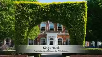 Free download Three Peacocks Mural Design by ATADesigns at the Kings Hotel - High Wycombe video and edit with RedcoolMedia movie maker MovieStudio video editor online and AudioStudio audio editor onlin