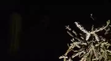 Free download Thresholds, 2:25 minute clip of 4:19 minute total running time video and edit with RedcoolMedia movie maker MovieStudio video editor online and AudioStudio audio editor onlin