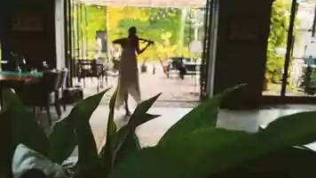 Free download Tichauer Restaurant x Violin Live Act video and edit with RedcoolMedia movie maker MovieStudio video editor online and AudioStudio audio editor onlin