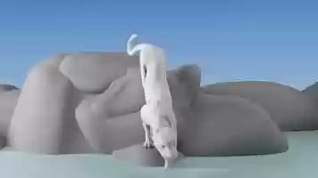 Free download Tiger Quadruped Animation video and edit with RedcoolMedia movie maker MovieStudio video editor online and AudioStudio audio editor onlin