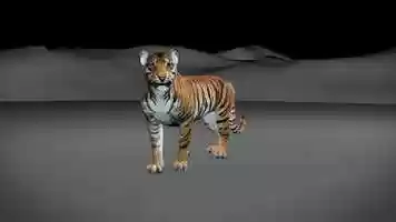 Free download Tiger walk and stop - Animation test video and edit with RedcoolMedia movie maker MovieStudio video editor online and AudioStudio audio editor onlin