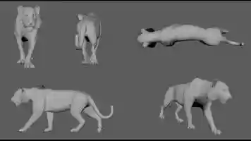 Free download Tiger Walk Cycle - Quadruped Animation Practice video and edit with RedcoolMedia movie maker MovieStudio video editor online and AudioStudio audio editor onlin