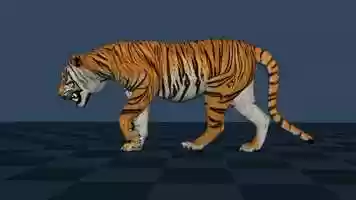 Free download Tiger Walk video and edit with RedcoolMedia movie maker MovieStudio video editor online and AudioStudio audio editor onlin