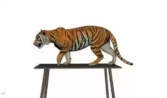 Free download Tiger walk/jump keyframe practice. video and edit with RedcoolMedia movie maker MovieStudio video editor online and AudioStudio audio editor onlin