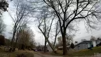 Free download Timber! video and edit with RedcoolMedia movie maker MovieStudio video editor online and AudioStudio audio editor onlin
