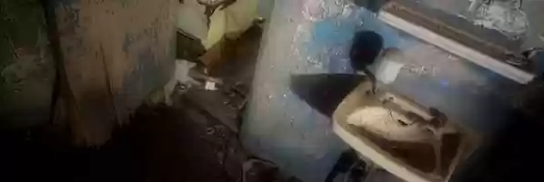 Free download Timeless-WallPixelSpreadTransitionLoopExperiment video and edit with RedcoolMedia movie maker MovieStudio video editor online and AudioStudio audio editor onlin