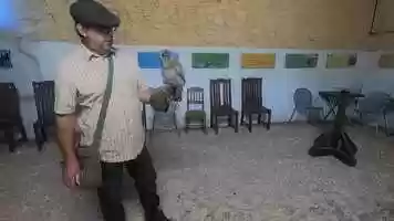 Free download Tinkertraining130621.mp4 video and edit with RedcoolMedia movie maker MovieStudio video editor online and AudioStudio audio editor onlin