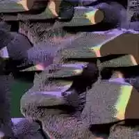 Free download To much Skunk video and edit with RedcoolMedia movie maker MovieStudio video editor online and AudioStudio audio editor onlin