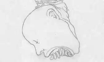 Free download Tongue Feet Teeth video and edit with RedcoolMedia movie maker MovieStudio video editor online and AudioStudio audio editor onlin